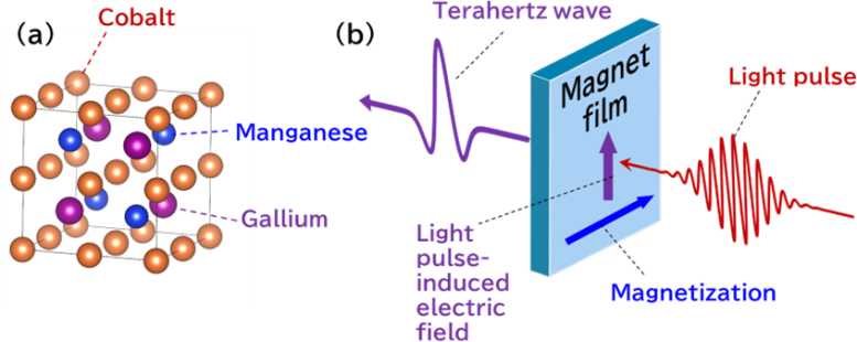 Generating intense Terahertz waves with a magnetic material